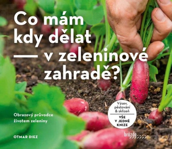 Co mám kdy dělat - v zeleninové zahradě?