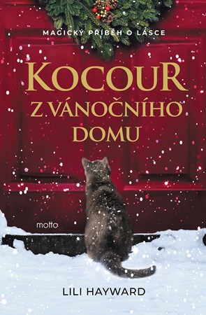 Kocour z vánočního domu
