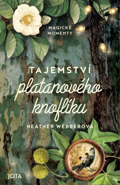 Tajemství platanového knoflíku