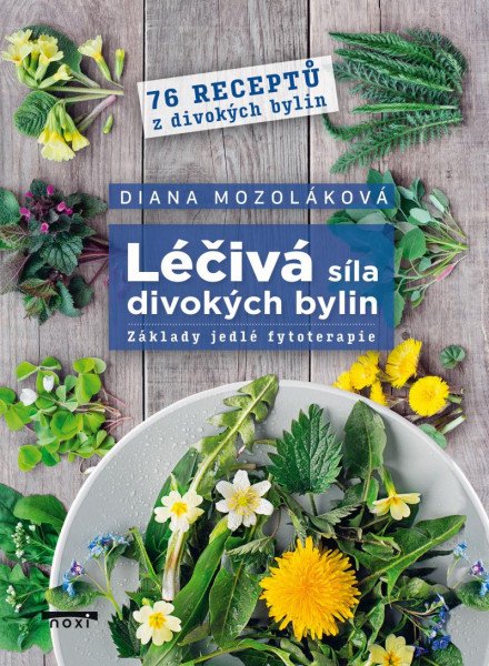 Léčivá síla divokých bylin - Základy jed