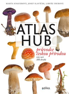 Atlas hub